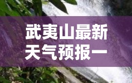 武夷山最新天气预报一周/武夷山天气情况 武夷山最新天气预报一周/武夷山天气情况
