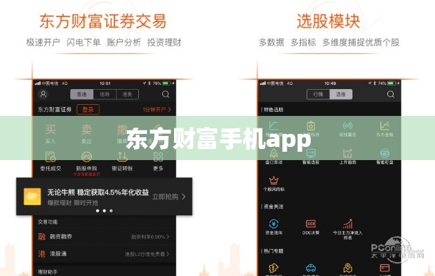中国莱肯超跑拥有者(莱肯超跑中国有几辆)