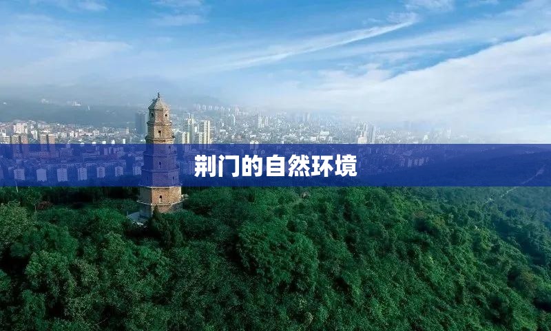浙江有哪些上市药企？