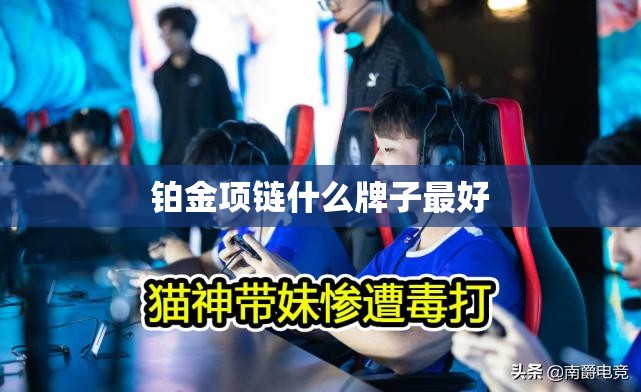 【铂金项链什么牌子比较好,铂金项链什么牌子比较好】 【铂金项链什么牌子比较好,铂金项链什么牌子比较好】