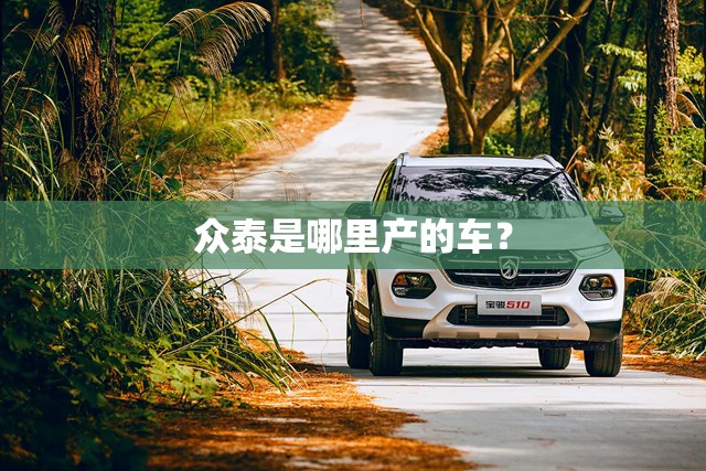 众泰是哪里产的车? 众泰是哪里产的车?