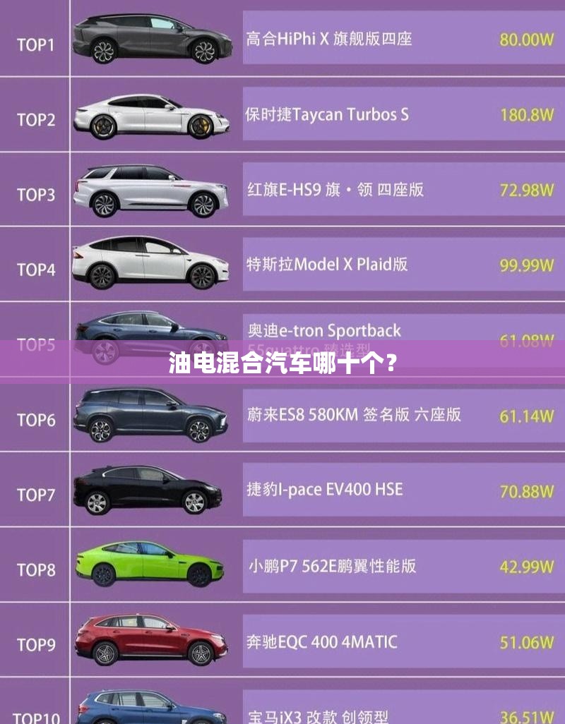 油电混合汽车哪十个？