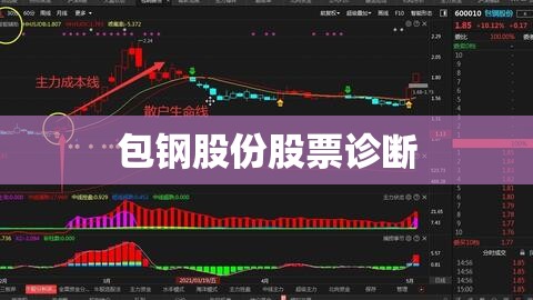 包钢股份股票诊断/包钢股份个股分析 包钢股份股票诊断/包钢股份个股分析