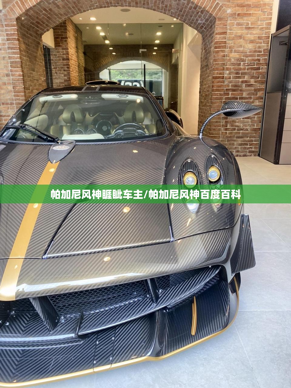 帕加尼风神睚眦车主/帕加尼风神百度百科