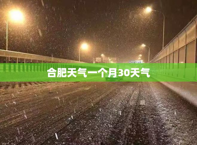 帕加尼风神睚眦车主/帕加尼风神百度百科