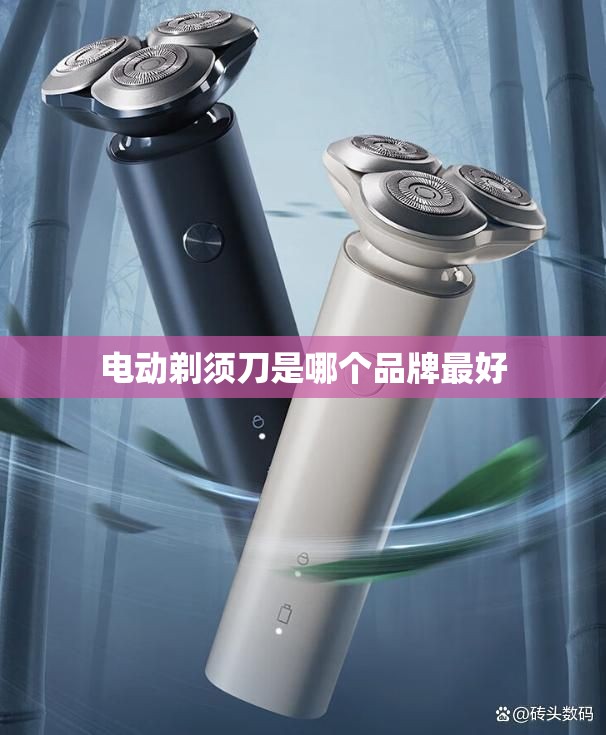 电动剃须刀是哪个品牌比较好/电动剃须刀哪个牌子 电动剃须刀是哪个品牌比较好/电动剃须刀哪个牌子