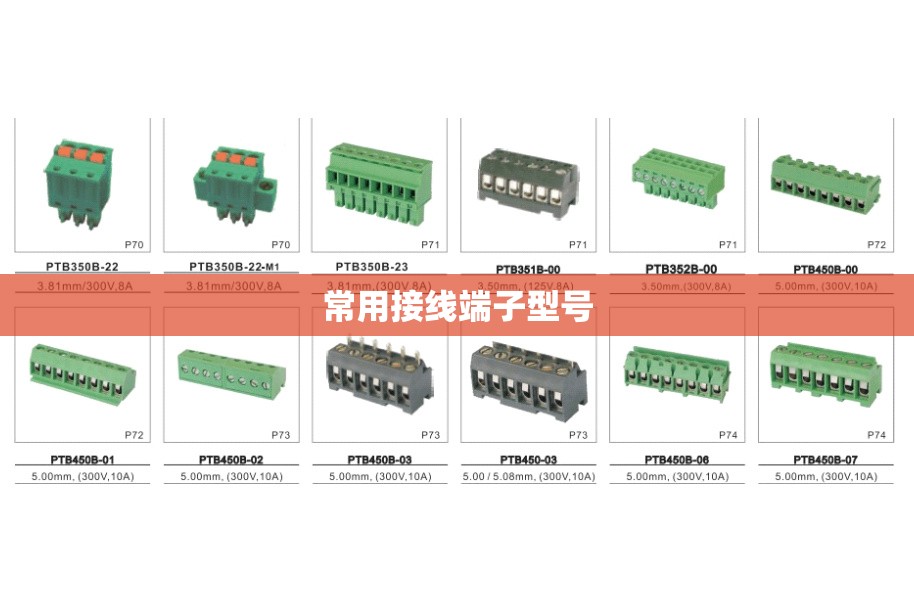 【常用接线端子型号,接线端子的规格】