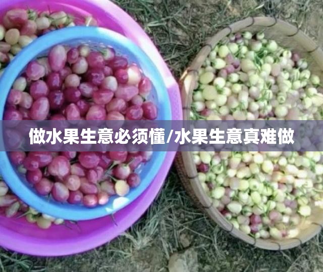 做水果生意必须懂/水果生意真难做 做水果生意必须懂/水果生意真难做