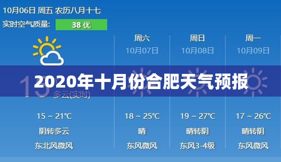中年女上衣夏装(中年女上衣夏装搭配)