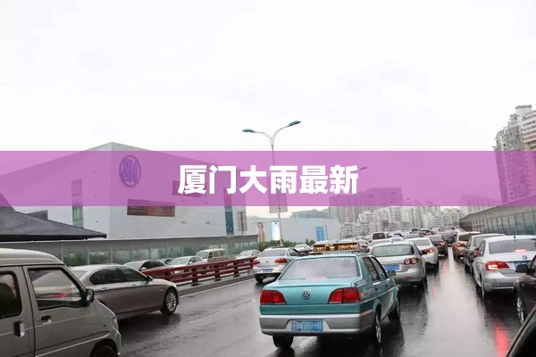 中年女上衣夏装(中年女上衣夏装搭配)