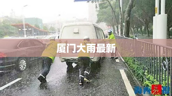 厦门大雨最新/厦门下大雨