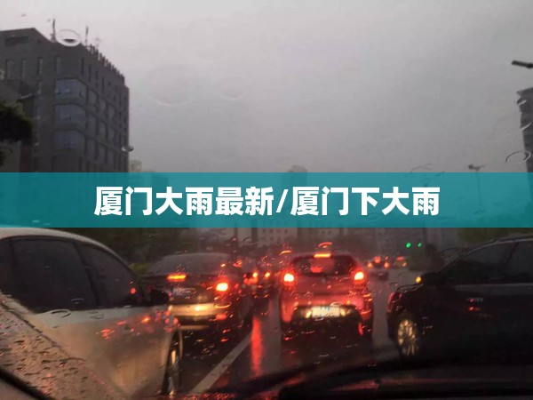 厦门大雨最新/厦门下大雨