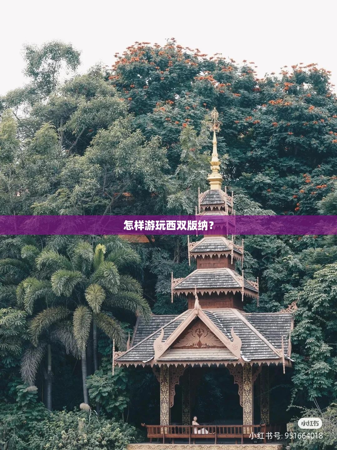 开自动挡10大技巧
