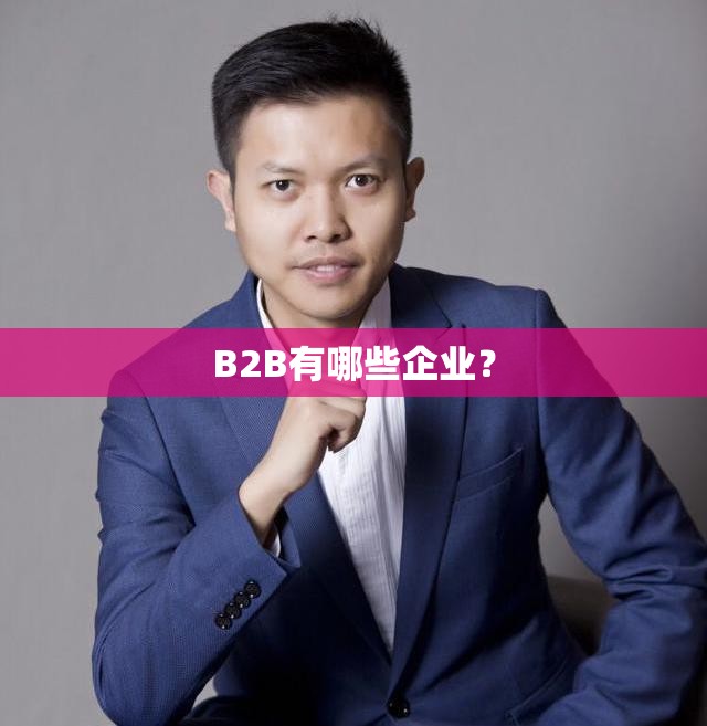 B2B有哪些企业？