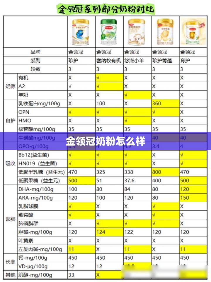 怎样游玩西双版纳？
