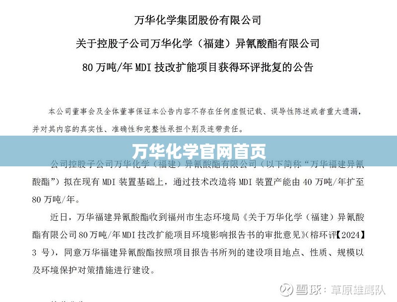 万华化学官方网站首页/万华化学官方网站网址 万华化学官方网站首页/万华化学官方网站网址