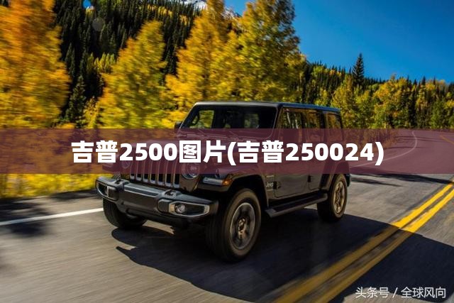吉普2500图片(吉普250024) 吉普2500图片(吉普250024)