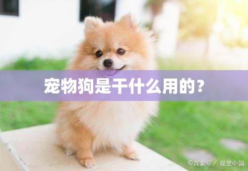青海西宁现在什么天气？