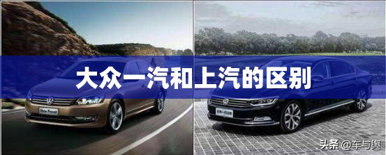 宠物狗是干什么用的？
