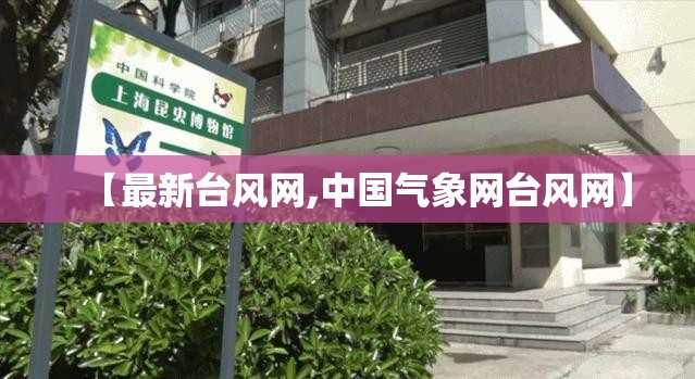 【最新台风网,中国气象网台风网】