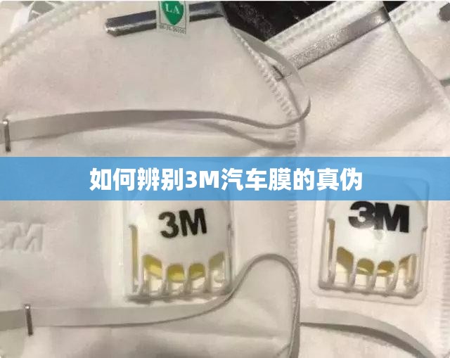【东南汽车厂址在哪里,东南汽车公司地址在哪里】