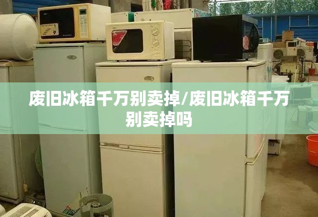 北京市车牌号的网址查询(北京车牌号官方网站)