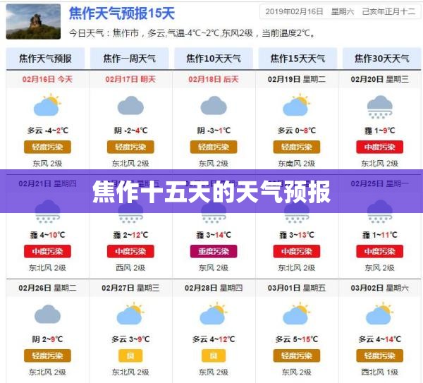 野鸽子的饲养方法与注意事项有哪些？