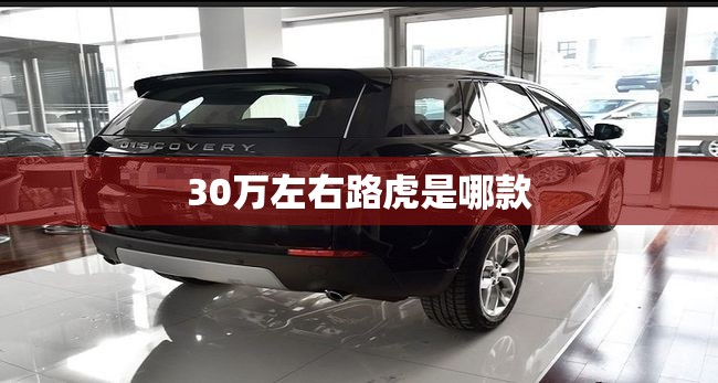 30万左右路虎是哪款 30万左右路虎是哪款