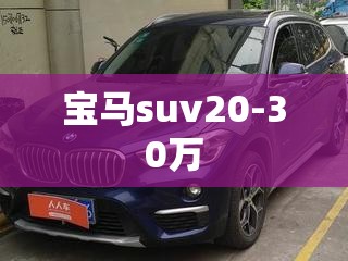 宝马suv20-30万