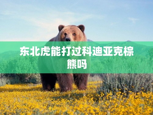 三层家用小型电梯费用(3层家用电梯费用表)
