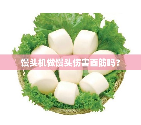 馒头机做馒头伤害面筋吗? 馒头机做馒头伤害面筋吗?