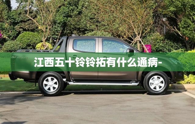 江西五十铃铃拓有什么通病-