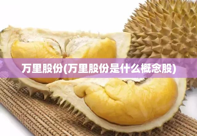 万里股份(万里股份是什么概念股) 万里股份(万里股份是什么概念股)