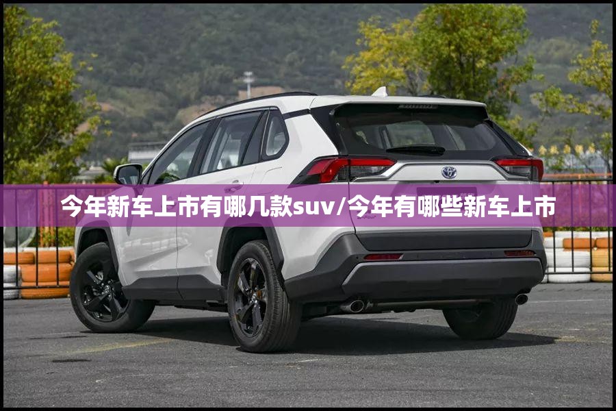 新胜达和全新胜达区别(新胜达值得购买吗)
