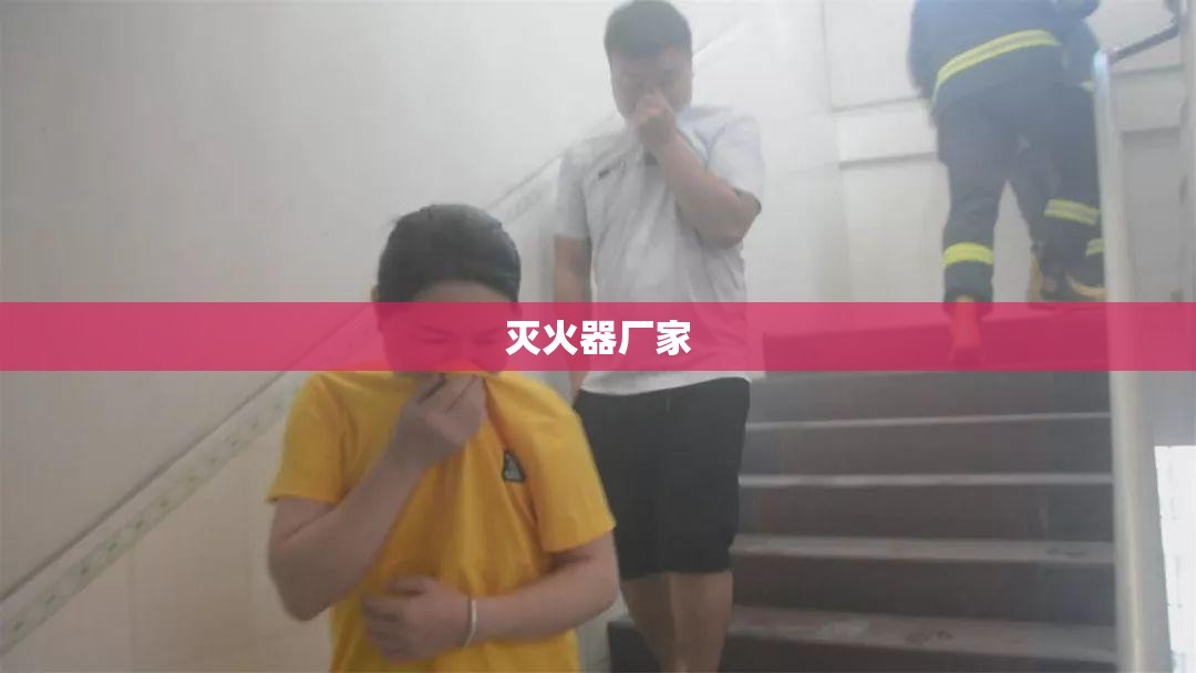 迪斯拉电动汽车的费用/迪斯远电动自行车费用