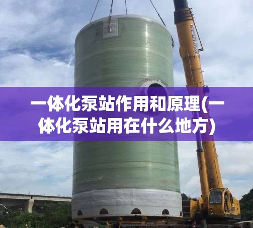 一体化泵站作用和原理(一体化泵站用在什么地方)