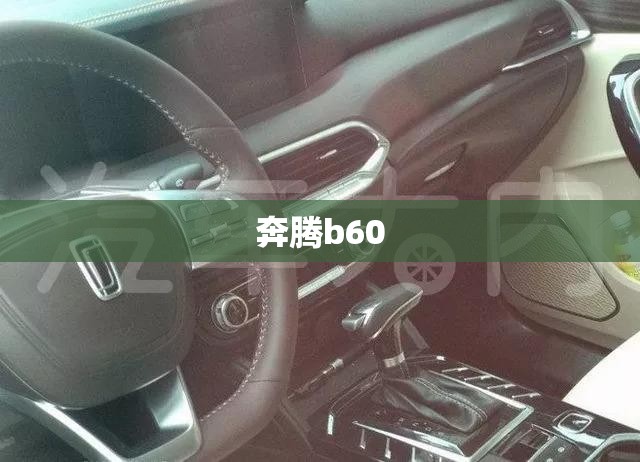 奔腾b60(奔腾b60图片) 奔腾b60(奔腾b60图片)