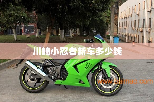 【奇瑞风云2与长安cx20,奇瑞风云2和长城炫丽】