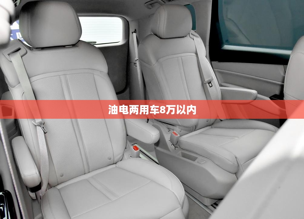 【油电两用车8万以内,油电两用车8万以内的车型】