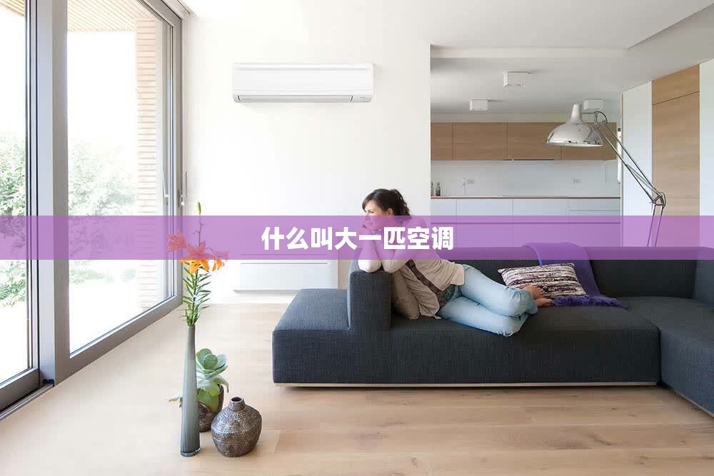 【什么叫大一匹空调,为什么客厅不建议装空调】 【什么叫大一匹空调,为什么客厅不建议装空调】