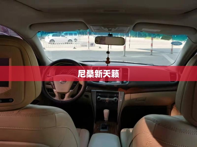 尼桑新天籁(尼桑新天籁公爵) 尼桑新天籁(尼桑新天籁公爵)