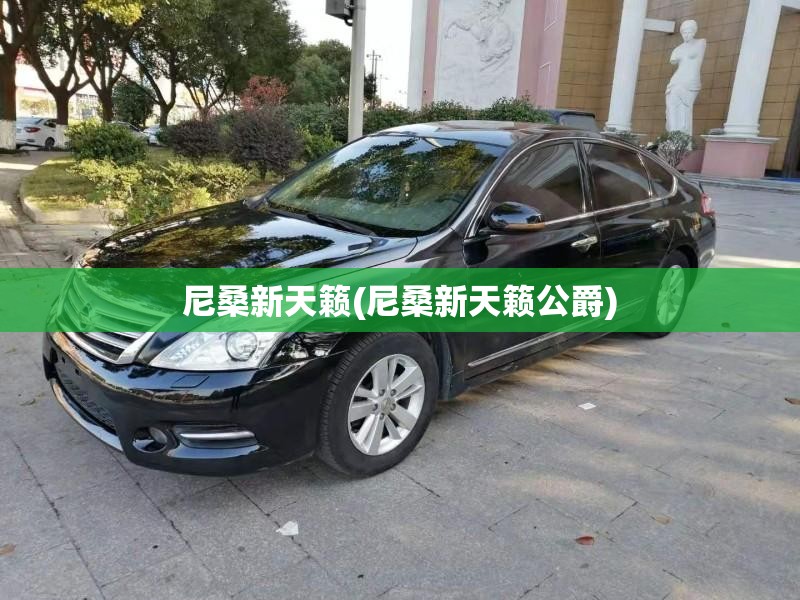 尼桑新天籁(尼桑新天籁公爵) 尼桑新天籁(尼桑新天籁公爵)