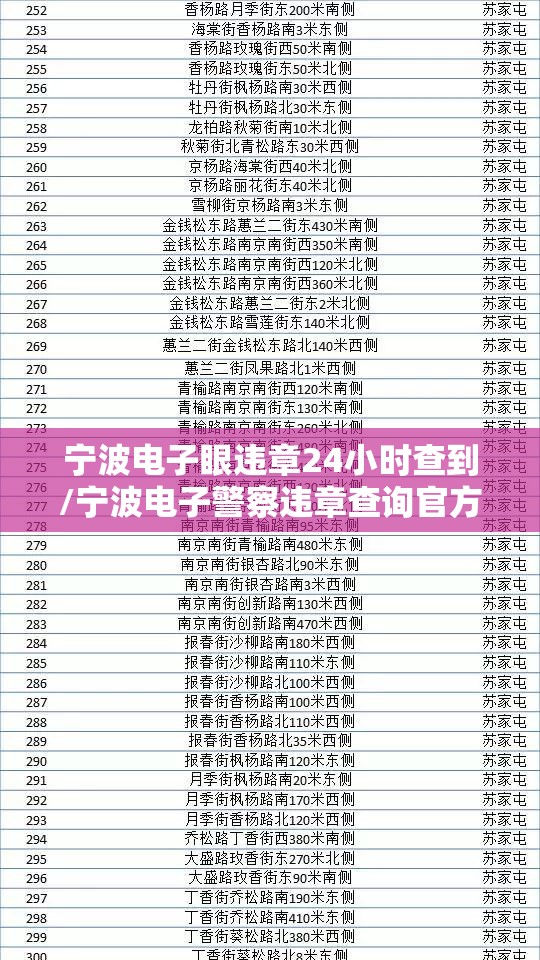 宁波电子眼违章24小时查到/宁波电子警察违章查询官方网站 宁波电子眼违章24小时查到/宁波电子警察违章查询官方网站