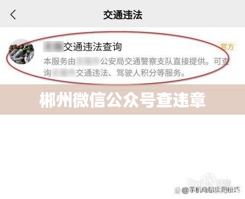 尼桑新天籁(尼桑新天籁公爵)