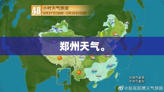 郴州微信公众号查违章