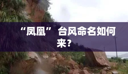 阿根廷世界杯冠军有几次？