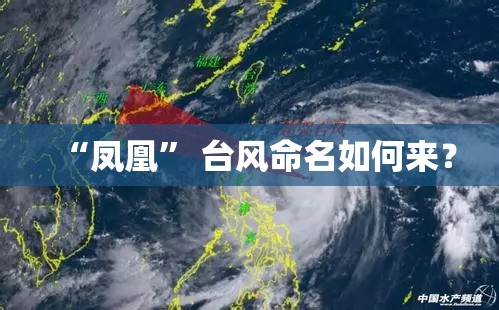 “凤凰	” 台风命名如何来？