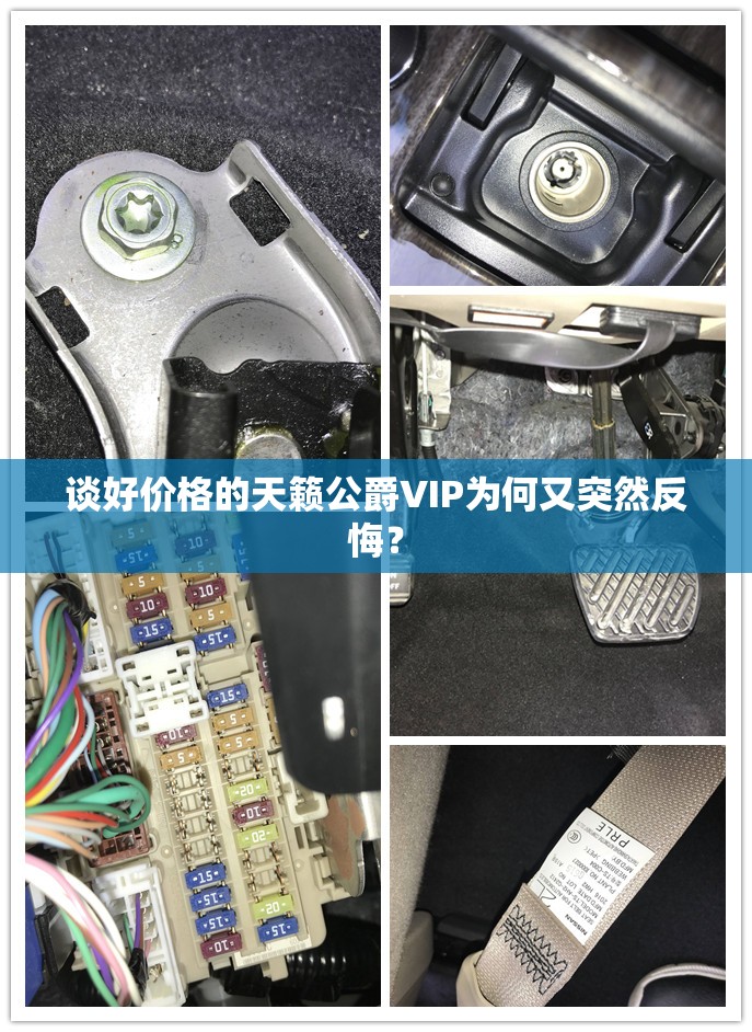谈好价格的天籁公爵VIP为何又突然反悔? 谈好价格的天籁公爵VIP为何又突然反悔?