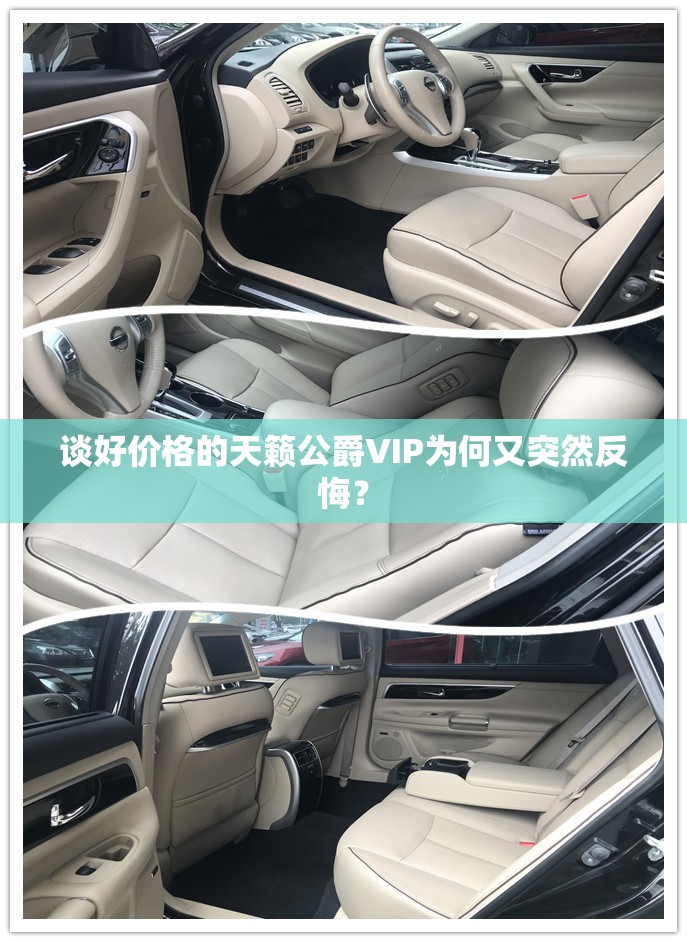 谈好价格的天籁公爵VIP为何又突然反悔? 谈好价格的天籁公爵VIP为何又突然反悔?
