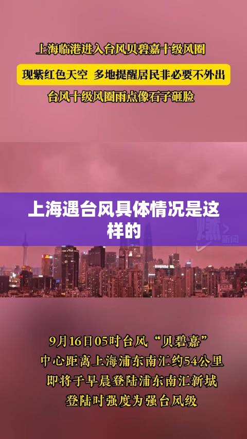 成都净化板生产厂家/成都净化板生产厂家地址